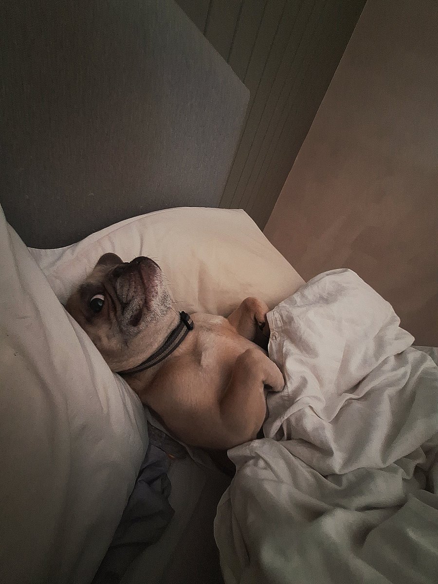 Gaz ⚽⚓🏴󠁧󠁢󠁥󠁮󠁧󠁿 tweet media