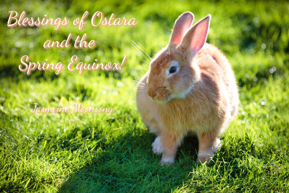 Debbie in Newquay 〓〓 tweet media