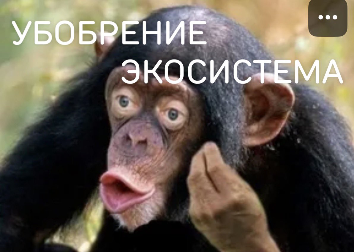 Красоту повсюду видит сука ювелир tweet media