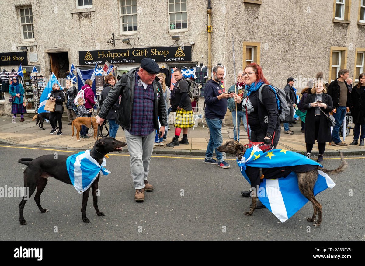 Jimmy Finlayson tweet media