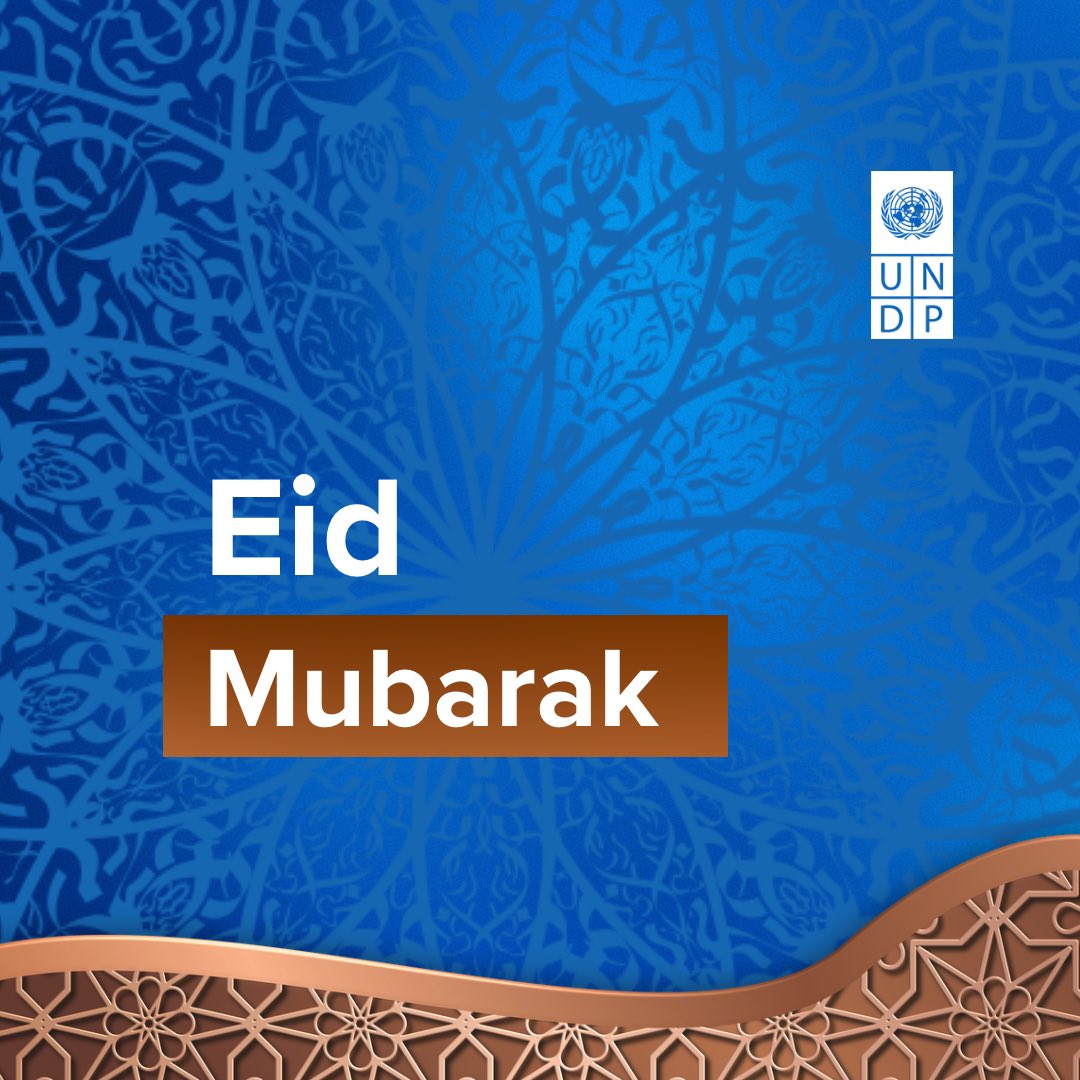 UNDP Nigeria tweet media