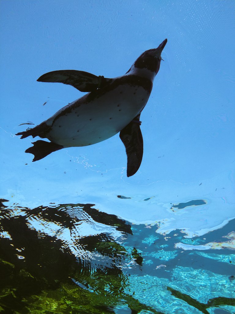 ◣mai◢ tweet media