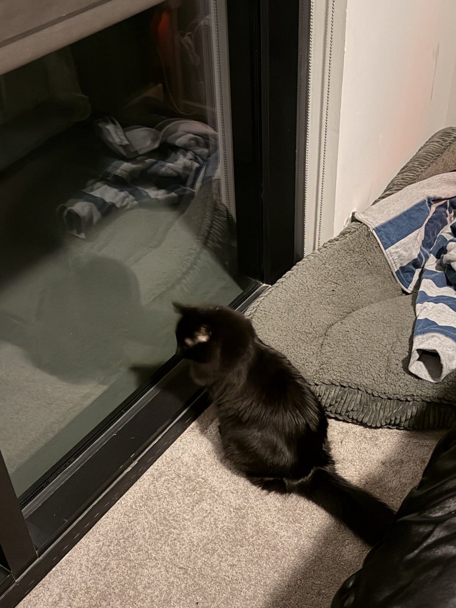 Ray S. ๐ฆ tweet media