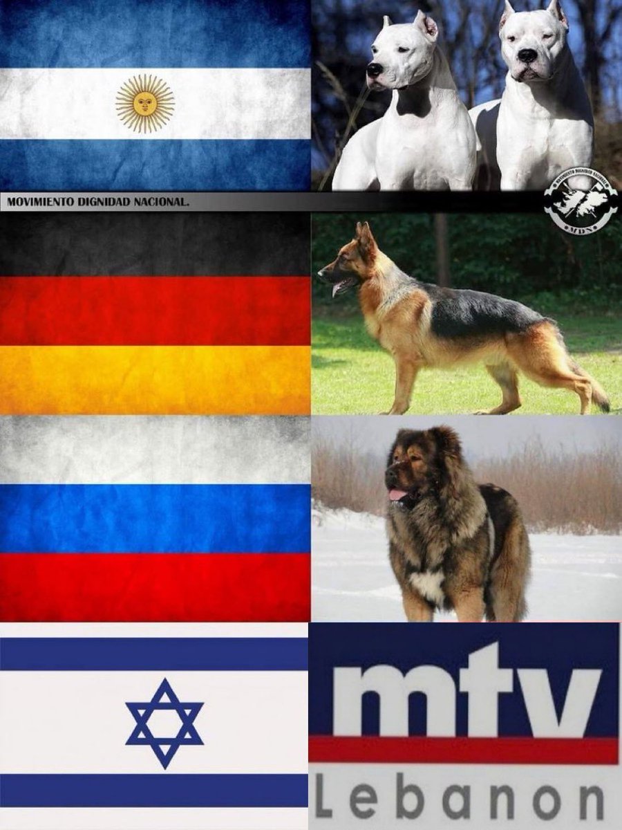 Ali Baraket tweet media