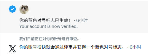 Rogdoll(蓝v互关) tweet media