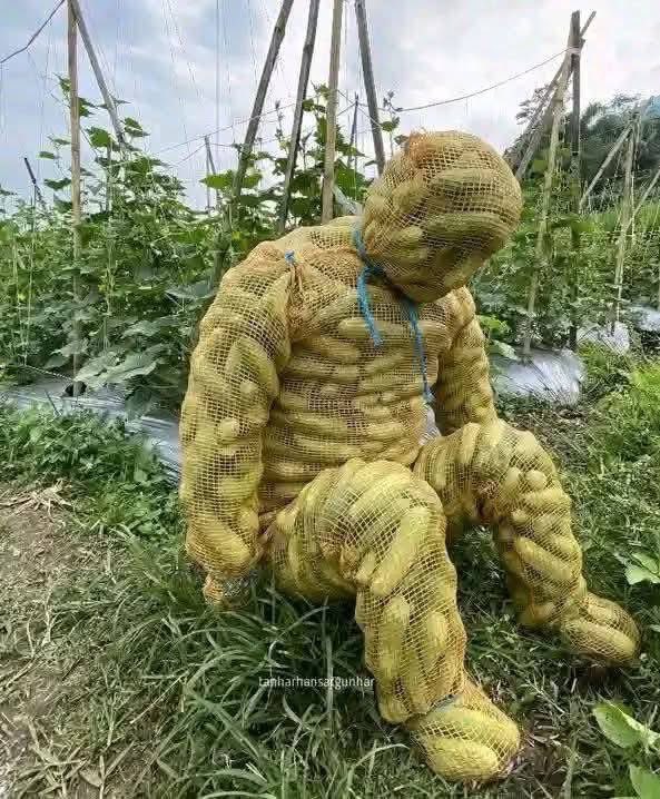 Sympathy💥 tweet media