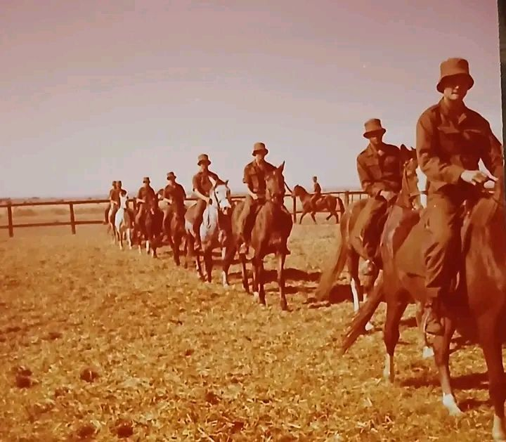 Mike the Warthog tweet media