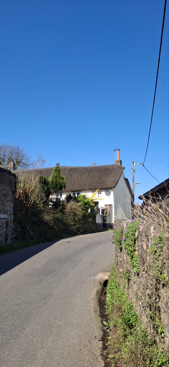 Achilles tweet media