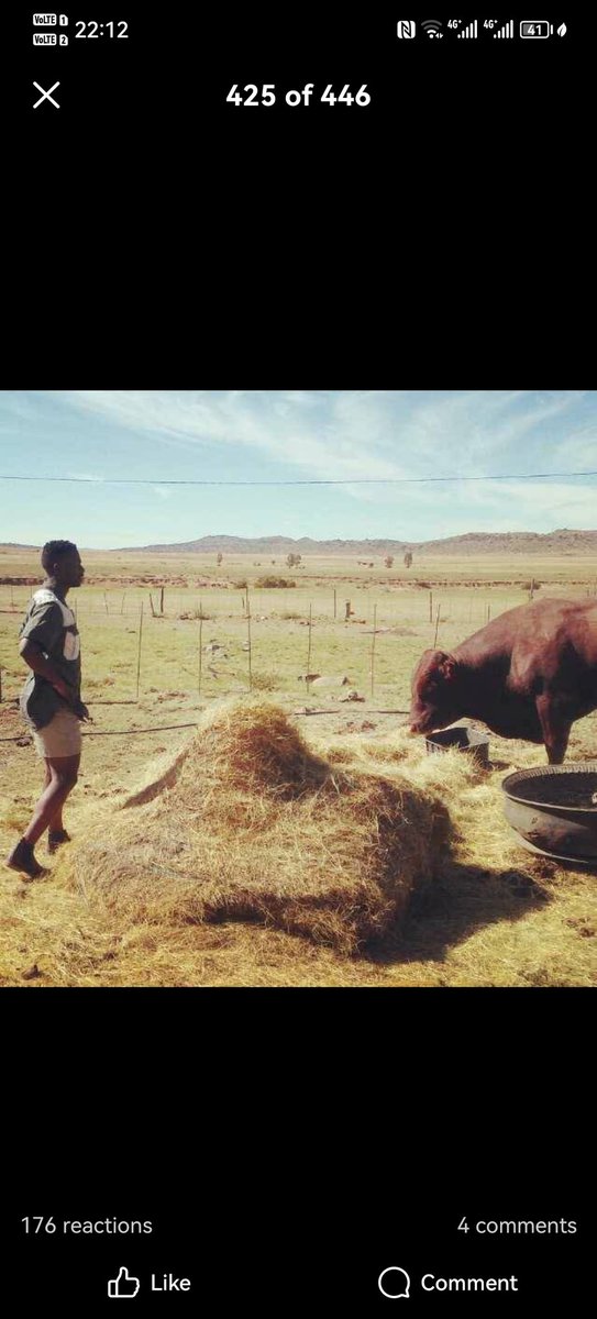 simthembile32's tweet photo. @casketmaker_GOV @KatlegoMaseng1 Do you still see 4 cows and 4 sheeps here???
Sometimes lack of thinking can be a real disease https://t.co/eH4z2zeSb7
