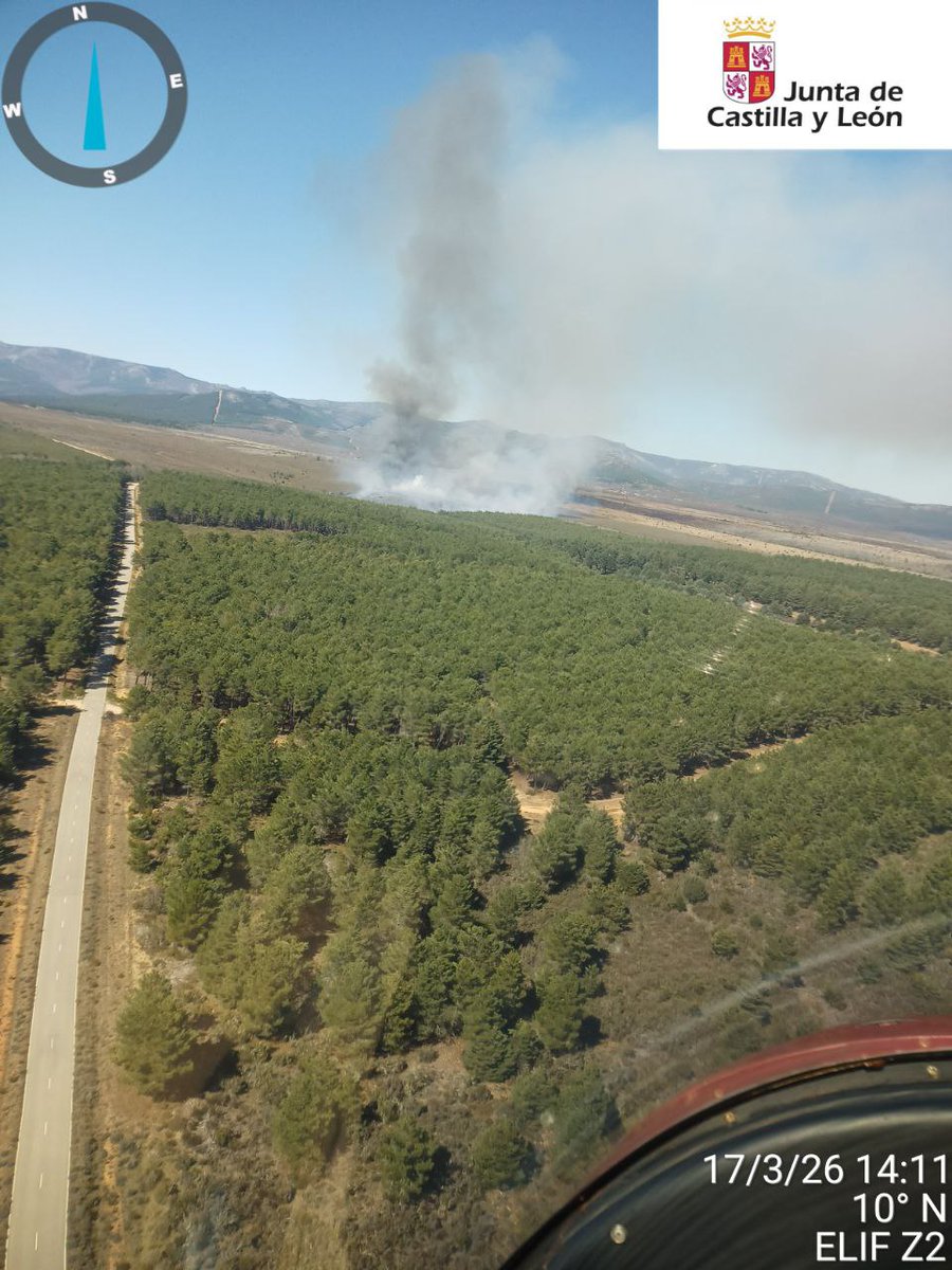 Naturaleza Castilla y León tweet media