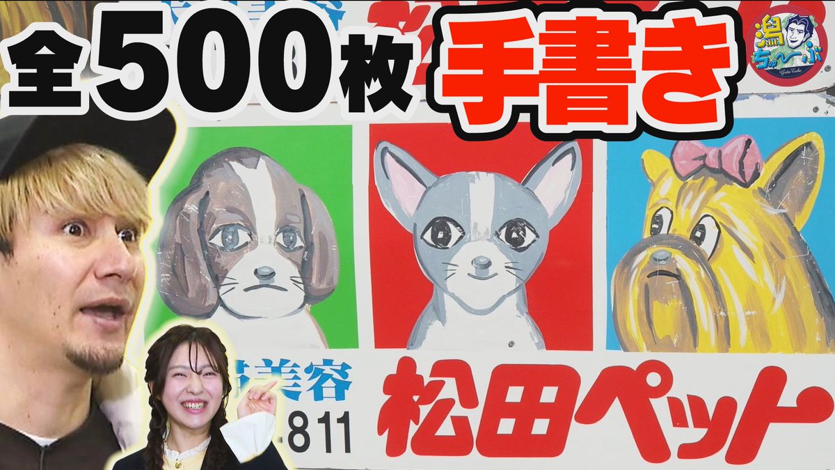 松田ペット」完全ガイド 長岡近郊の県道沿いにたたずむ ロードサイドの