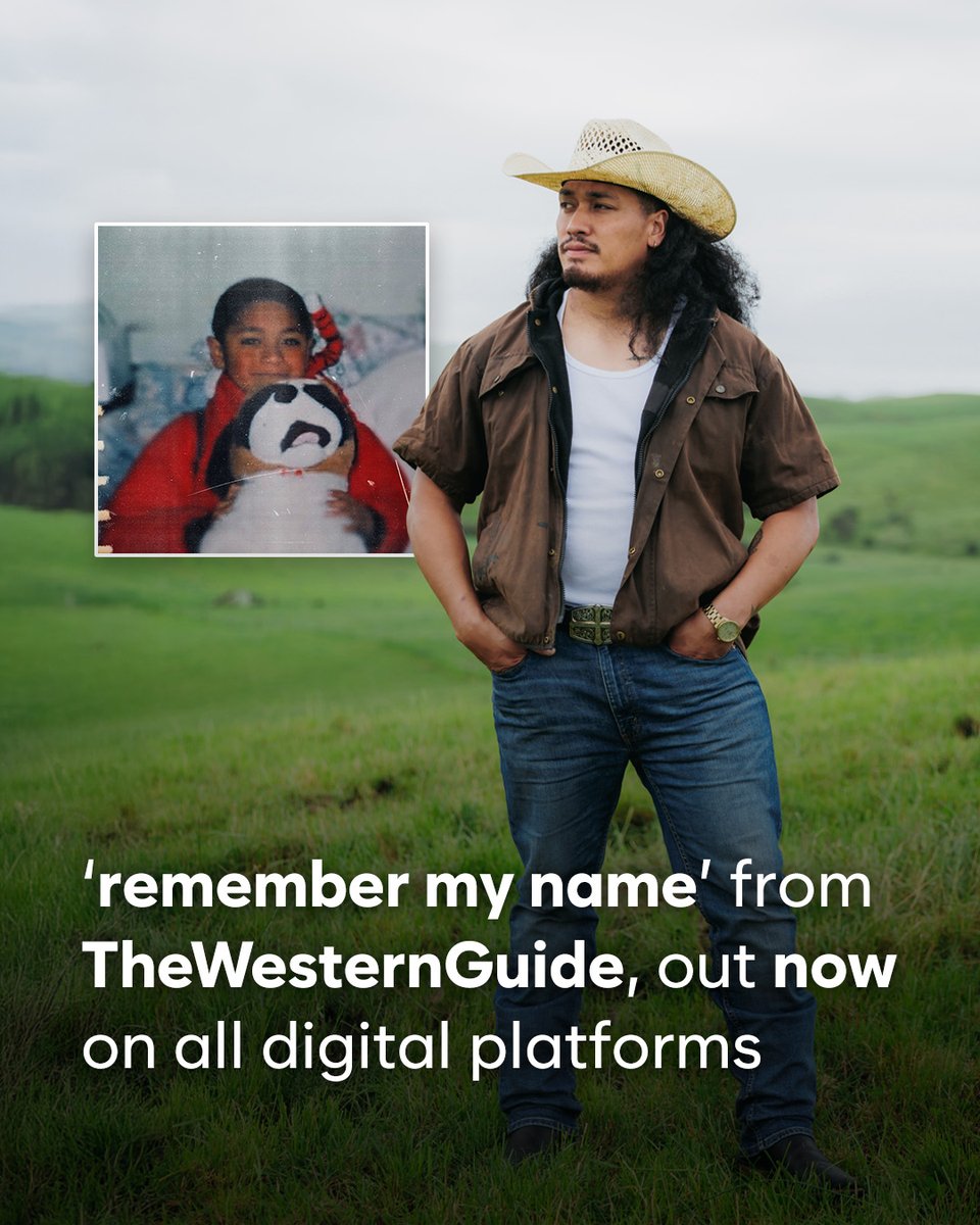 Precise Digital tweet media