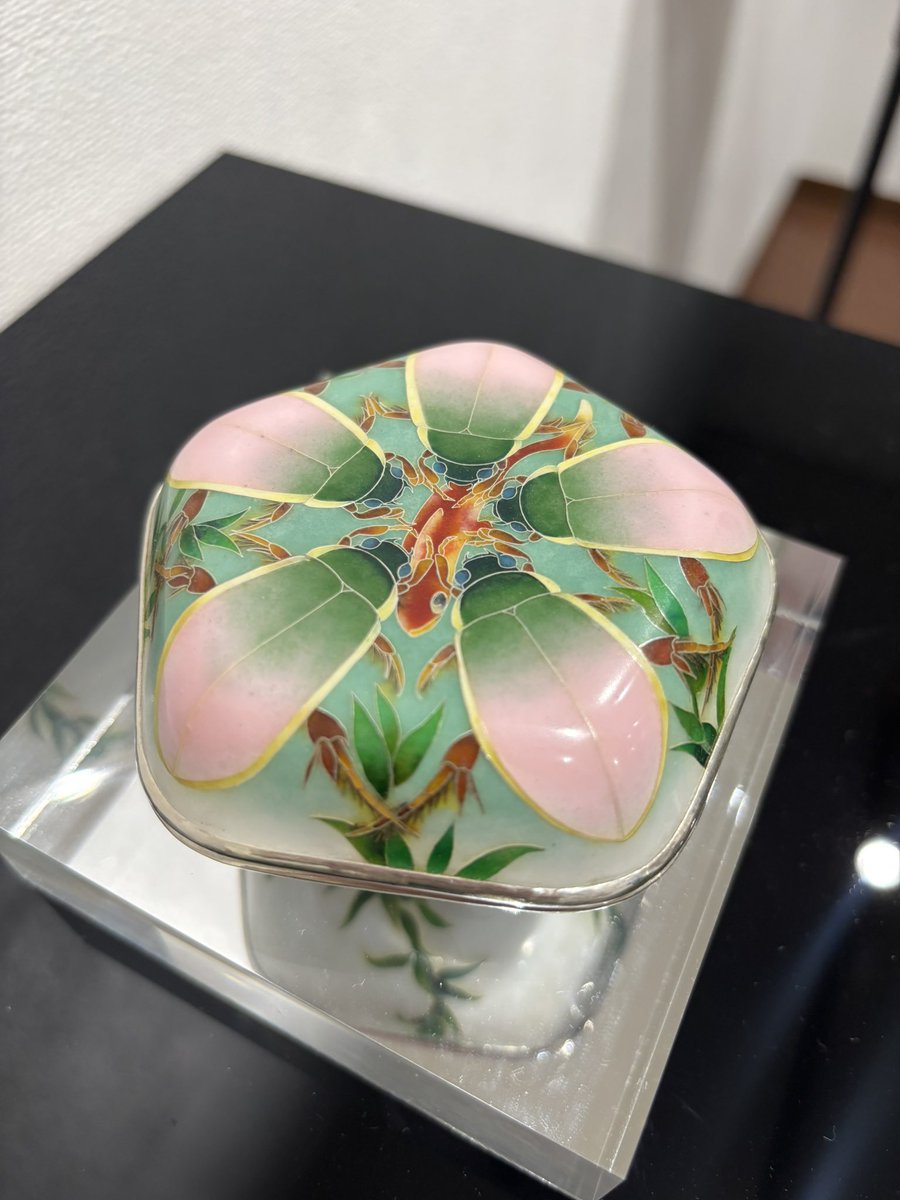 insects_6464's tweet photo. INSECTSメンバー・七宝作家の春田幸彦さんの個展をSASAI FINE ARTSで開催中です！

全モチーフ虫です！🪲

春田幸彦七宝展「蠱惑」
3/20(金)〜4/4(土)
10:30-18:30 日・月休廊
https://t.co/YOl8FFLLM3 https://t.co/EvVV2LzAfw