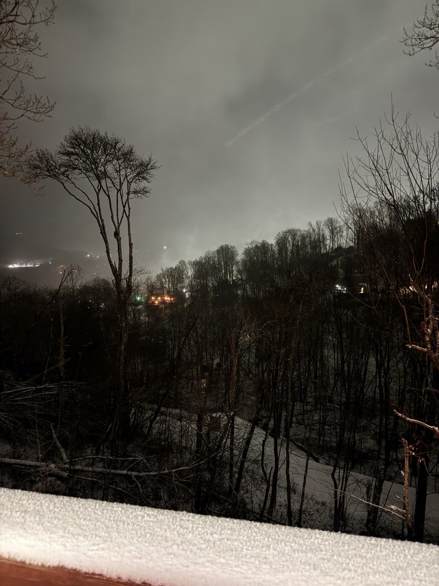 Lily💘 tweet media