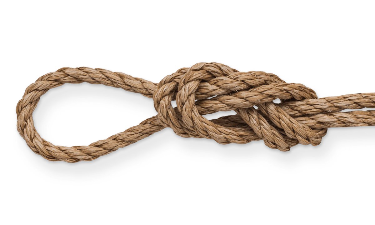 Fred Max tweet media