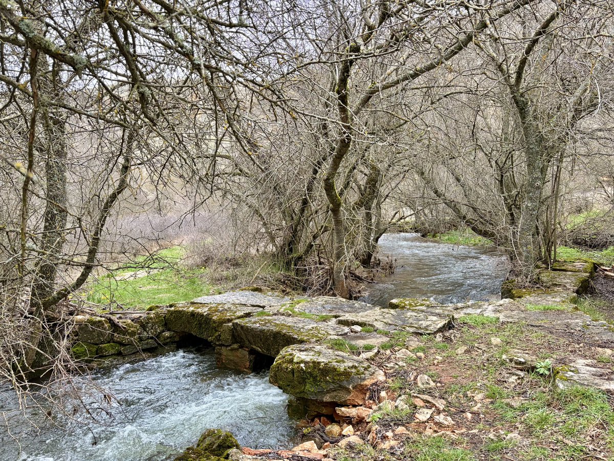 nachoramosc's tweet image. Soria. #Castilla #Soria