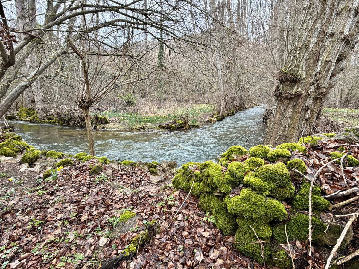 nachoramosc's tweet image. Soria. #Castilla #Soria