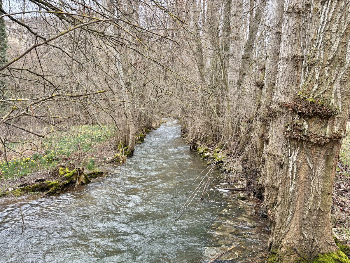 nachoramosc's tweet image. Soria. #Castilla #Soria