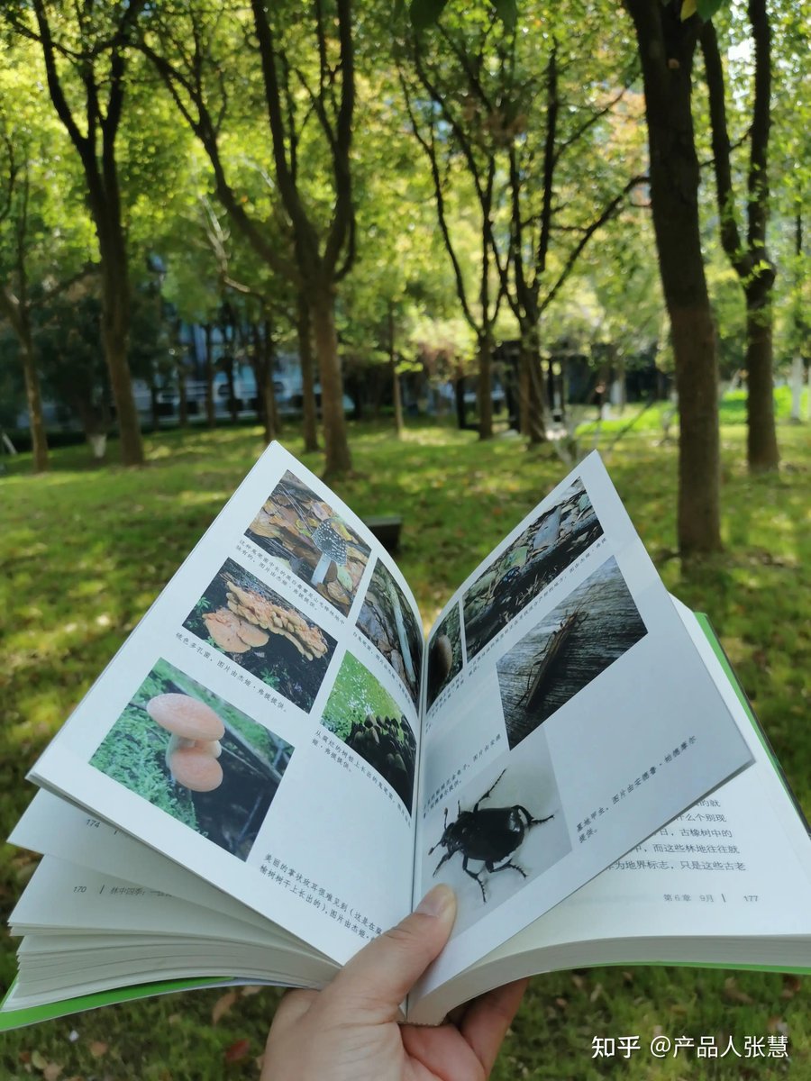 Christi Long tweet media