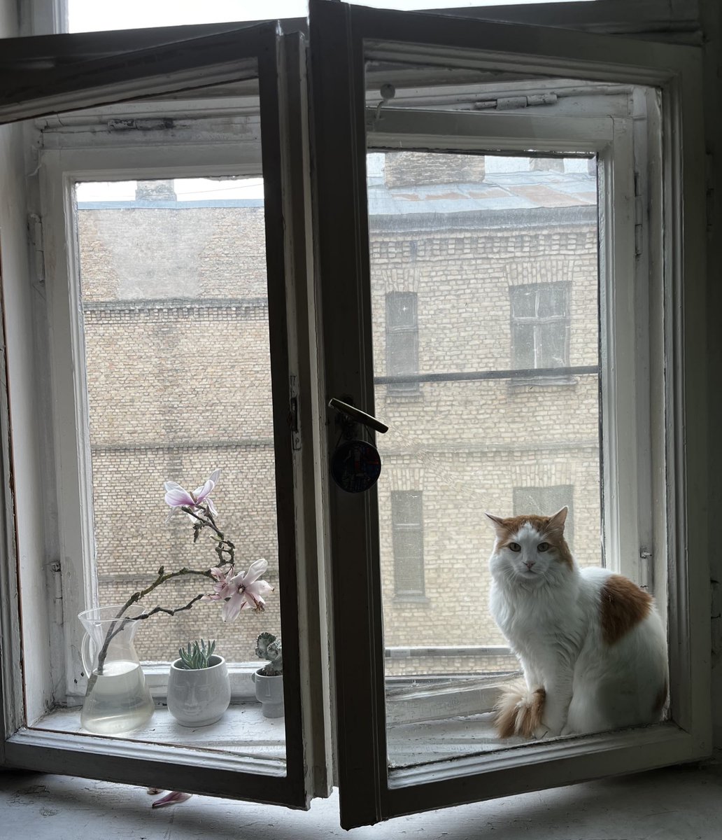 лотарева tweet media