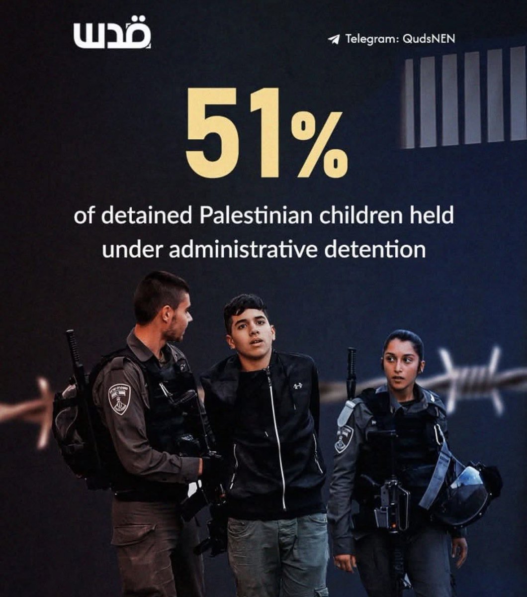 Roni 🦭🍅 tweet media