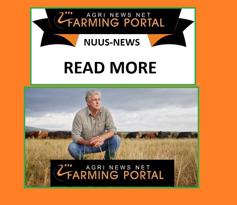 farmingportal's tweet image. South Africa is targeting a multibillion-rand #pistachio industry, aiming to produce up to 60,000 tonnes annually and capture 5–8% of the global market within the next decade, potentially ranking among the world’s top six or seven producers. agrinewsnet.co.za/index.php?home…