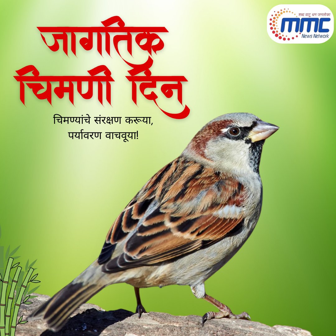 MMC News Network tweet media