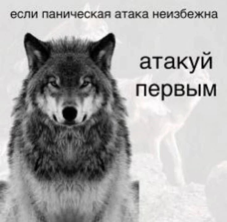 медуза ждет аванса tweet media