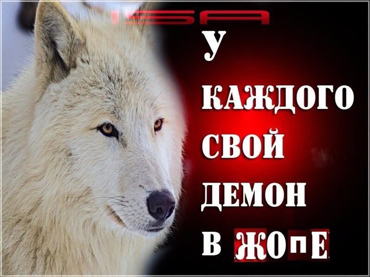 медуза ждет аванса tweet media