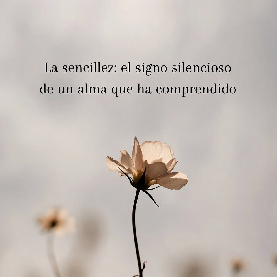 El alma, en sus primeras etapas, es compleja, turbulenta, llena de preguntas, conflictos y búsquedas intensas. Necesita entender, explorar, descomponer. Se pierde y se encuentra muchas veces. Pero hay un momento —no forzado, no buscado directamente— en que algo se aquieta.

Y lo