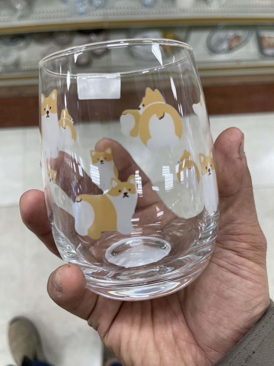 あらいさとし/光🐶🐾/幸👼🐾 tweet media