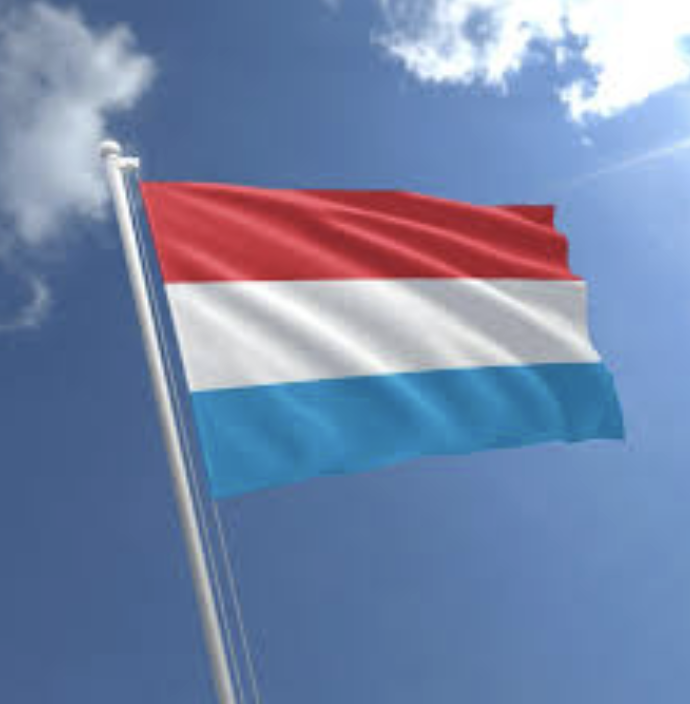 crypto.news tweet media