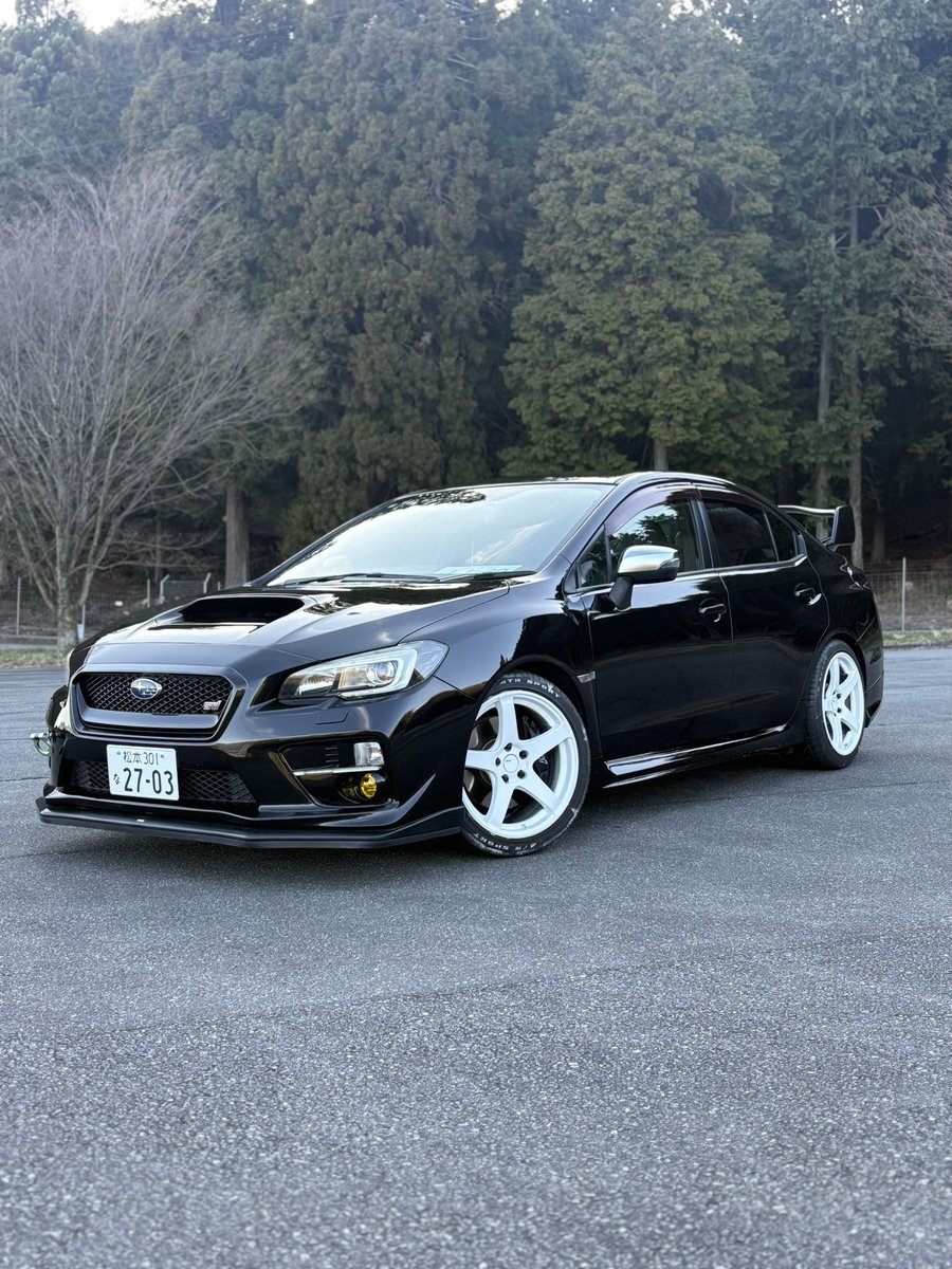 そるてぃ tweet media