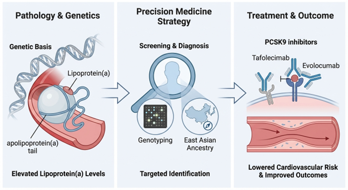 Journal of Cardiovascular Pharmacology tweet media