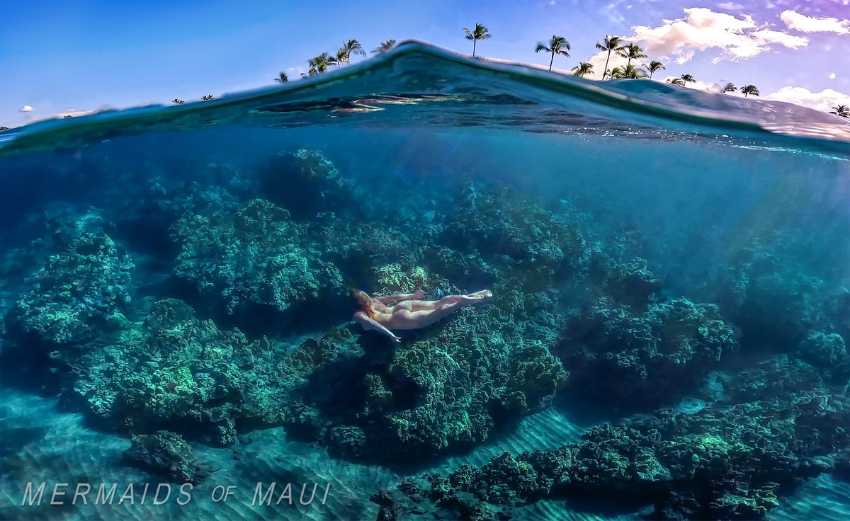 Mermaids_Maui's tweet photo. Let's get you  to Maui for your Mermaid Photoshoot. DM Inquiries #mermaid #mermaids #mermaidsarereal #mermazing #maui #hawaii https://t.co/HWafh1DnwD
