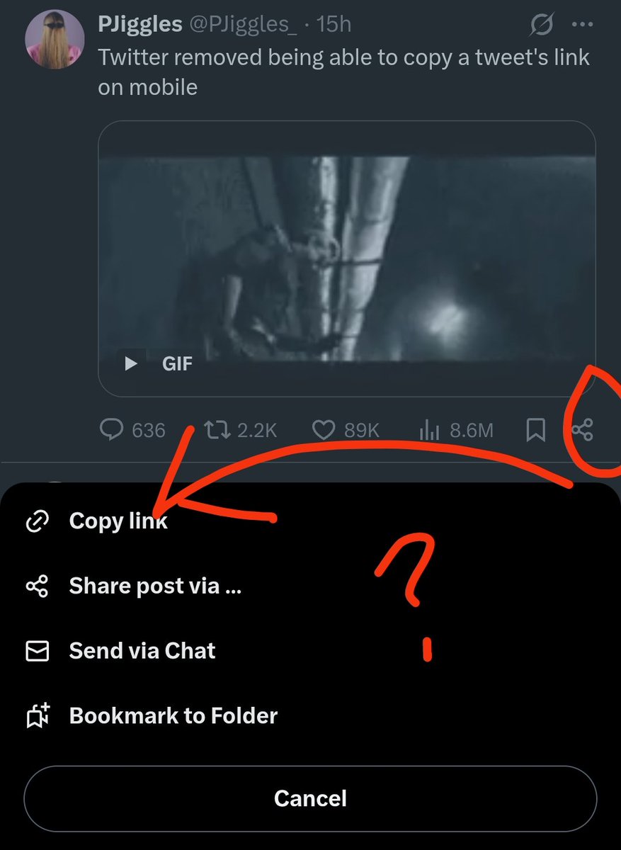 SIGNAL.EXE™ tweet media