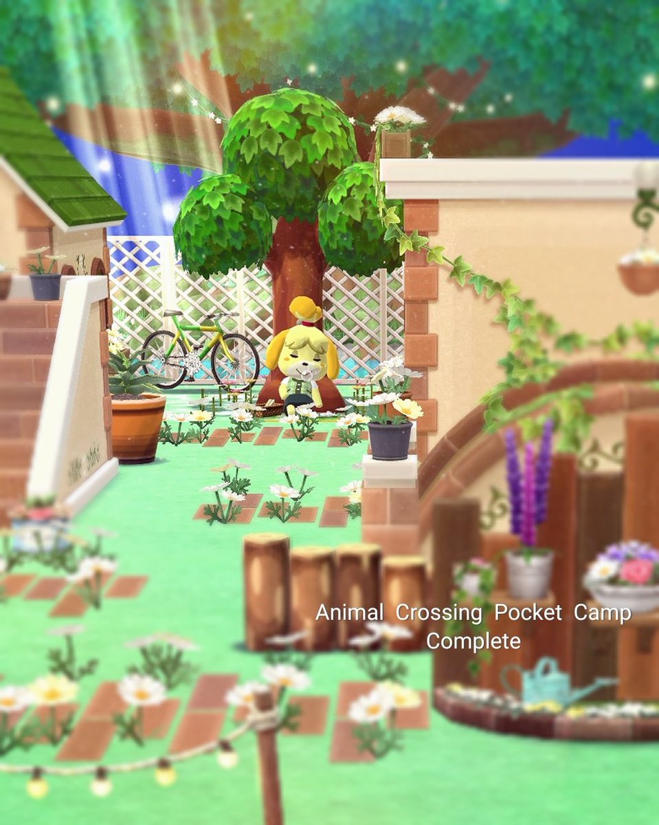 maru_acpc's tweet photo. 再インストール2日目  
キャンプ場の背景が解放されました☺️
たっぷりリーフストーンが貰えたのでスペシャル家具やクッキーアイテムを手に入れることができました!
ポケ森ってほんと神アプリ♡

#ポケ森 https://t.co/YxwaFME6QI