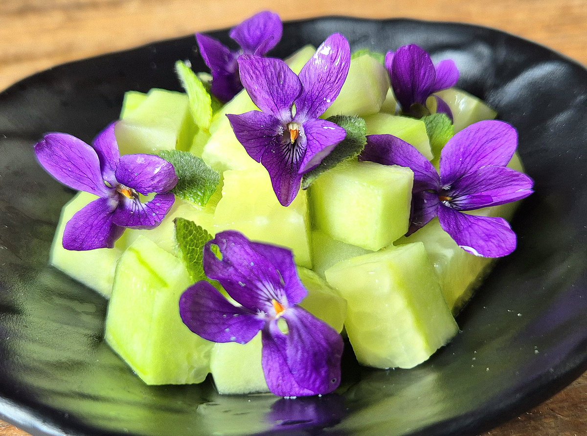 faustina gilbey tweet media