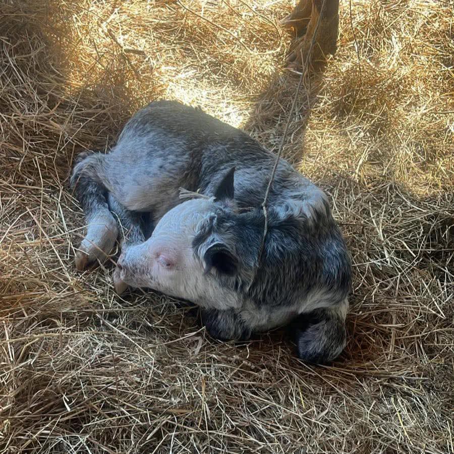 PERSONNEL tweet media