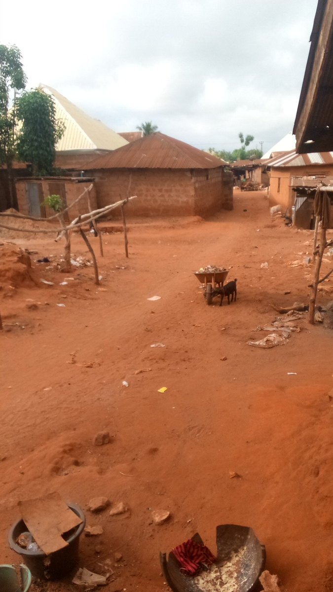 Achele 📊💯 tweet media