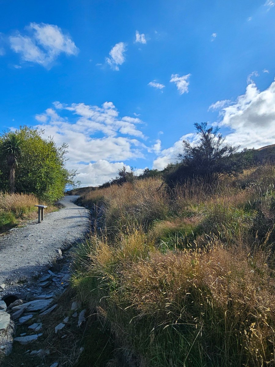 chiara zavattiero tweet media