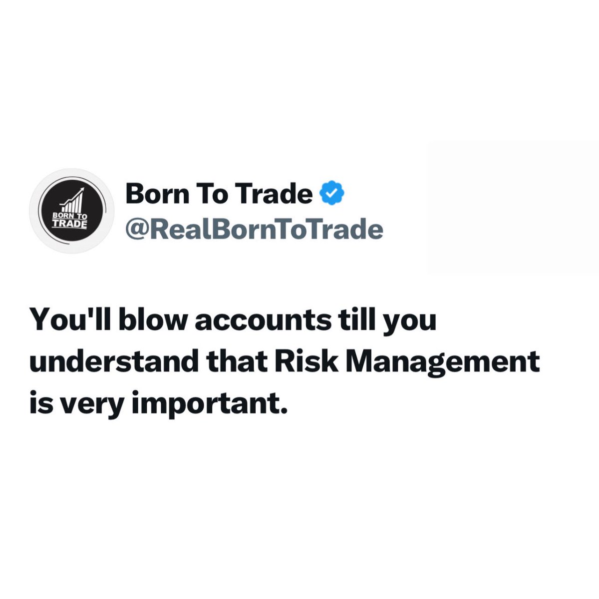Born To Trade tweet media