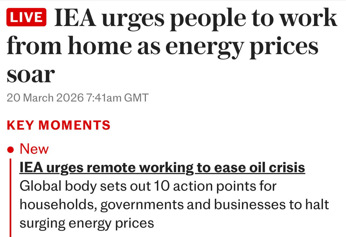 42 Jack 🐱 🏴󠁧󠁢󠁥󠁮󠁧󠁿 😍 tweet media