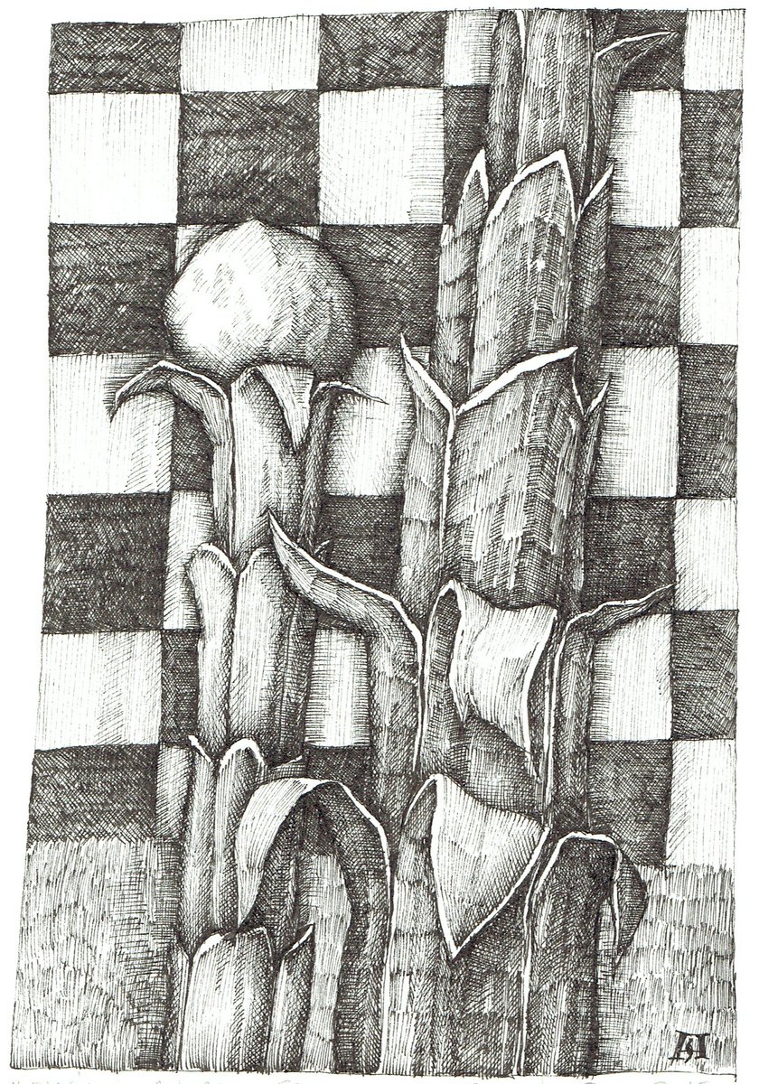 Andre Sobas tweet media