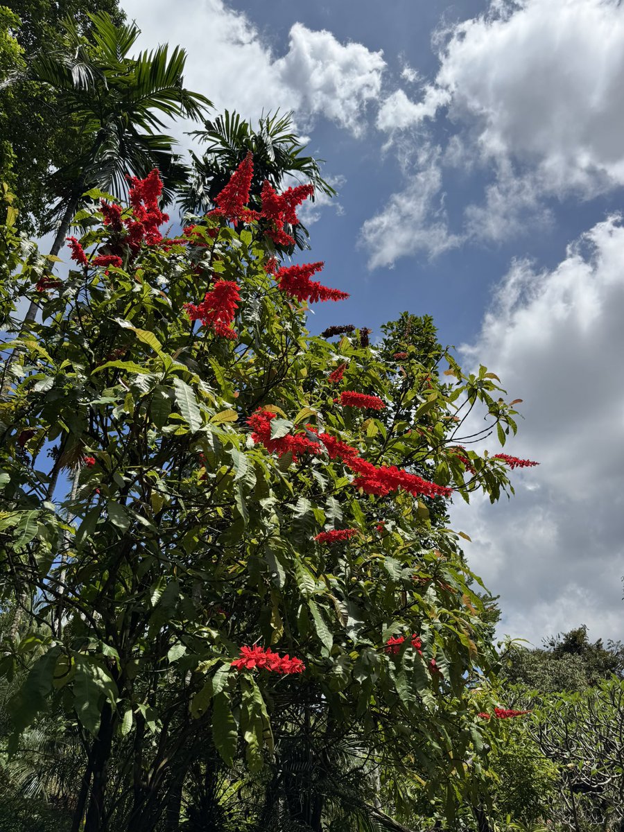 Dr. Mark Rowe tweet media