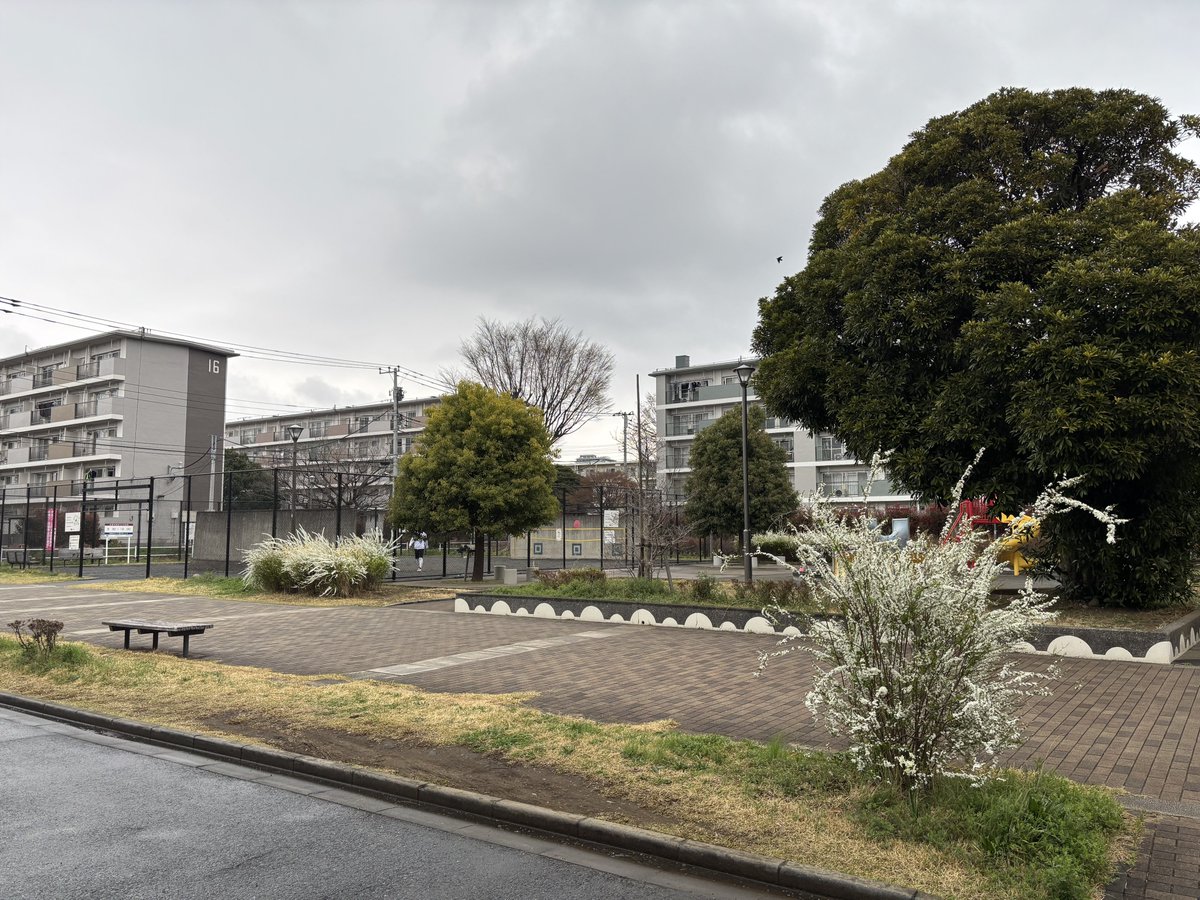 公団ウォーカー 照井啓太 tweet media