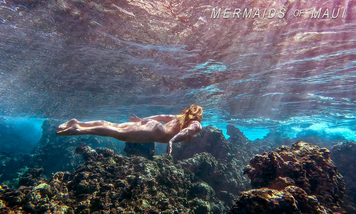 Mermaids_Maui's tweet photo. Let's get you  to Maui for your Mermaid Photoshoot. DM Inquiries #mermaid #mermaids #mermaidsarereal #mermazing #maui #hawaii https://t.co/xs2lW7IZd3