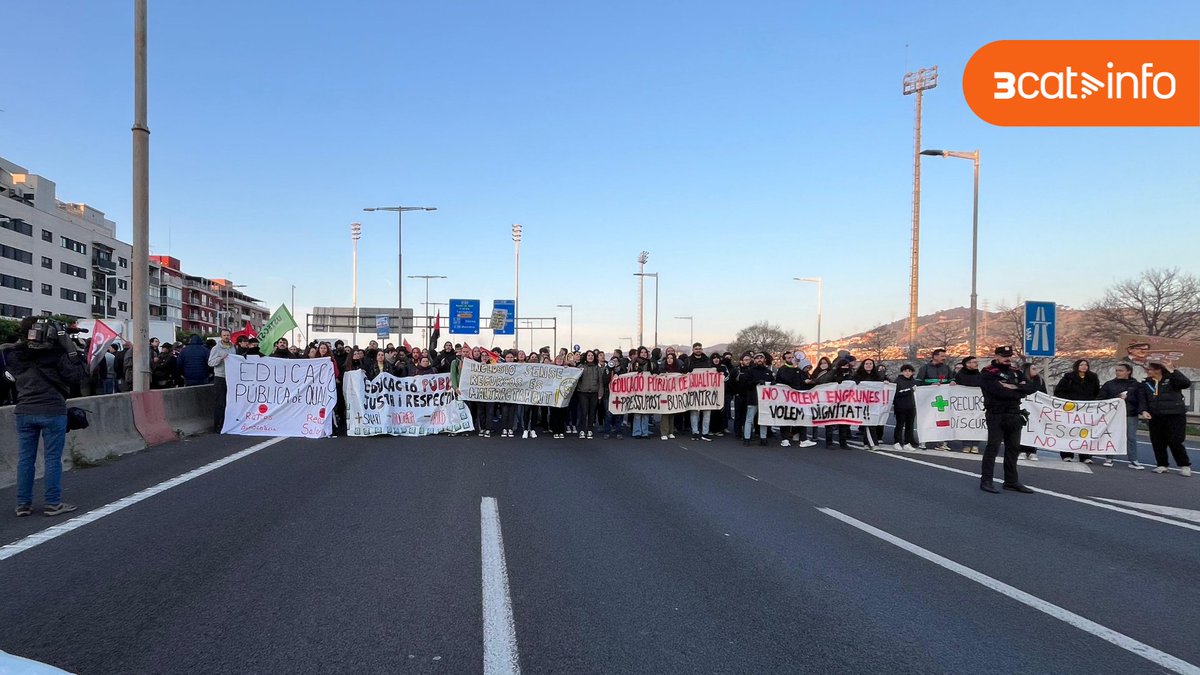 3CatInfo tweet media