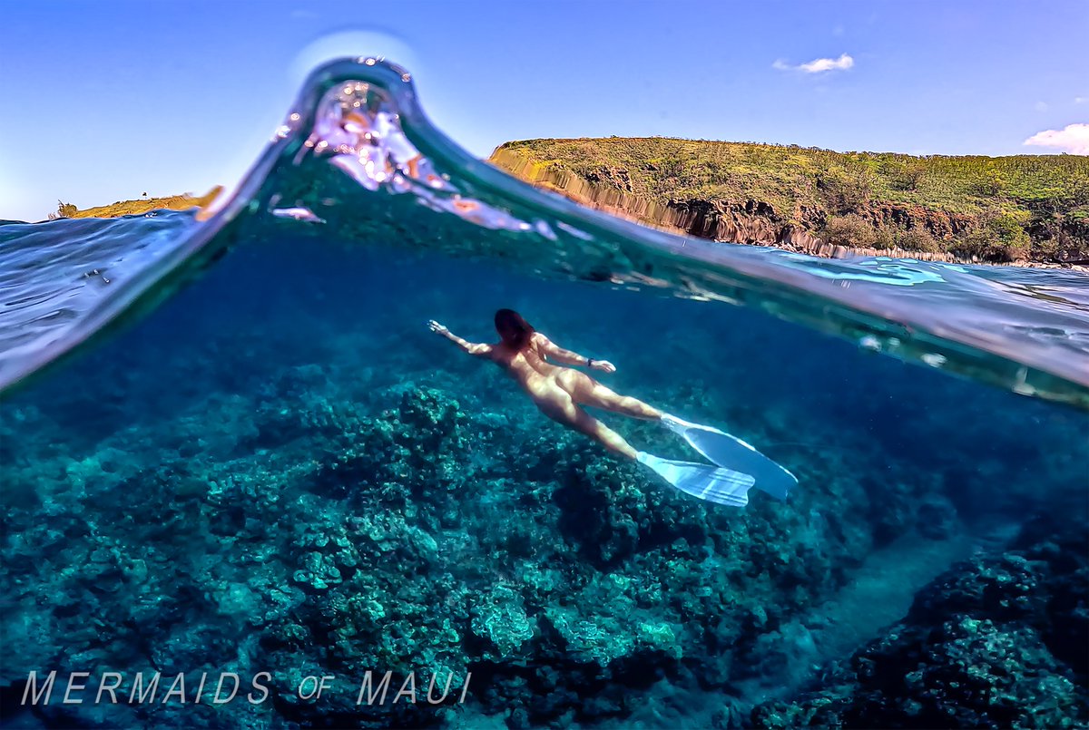 Mermaids_Maui's tweet photo. Let's get you  to Maui for your Mermaid Photoshoot. DM Inquiries #mermaid #mermaids #mermaidsarereal #mermazing #maui #hawaii
@CDForever51 https://t.co/eqPnEgu0a7