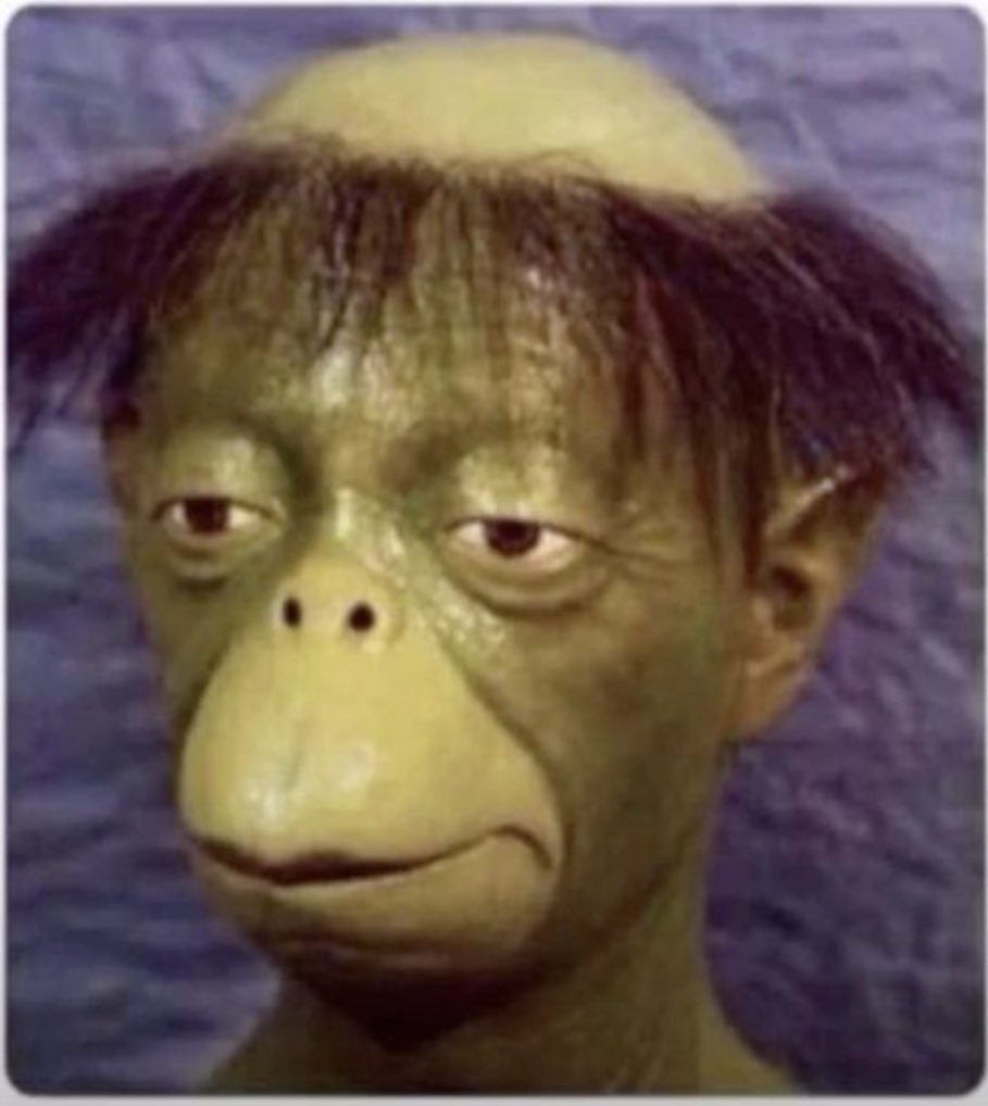 Polycap278 tweet media